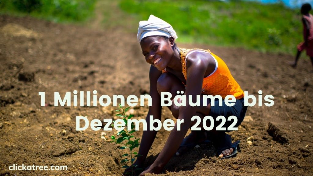 1 Millionen Bäume bis Dezember 2022 Hilf uns bei der Mission und bewerte uns