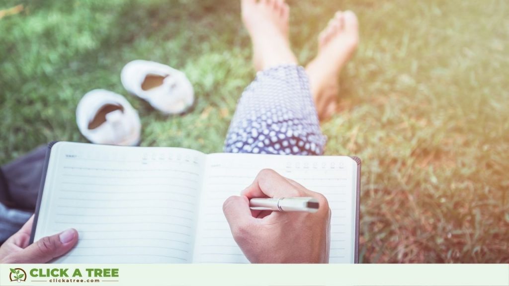 Volunteering at Click A Tree - Write Articles for Click A Tree