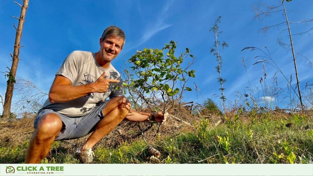 Allianz Agentur Dirk Alfter verschenkt Bäume mit Click A Tree