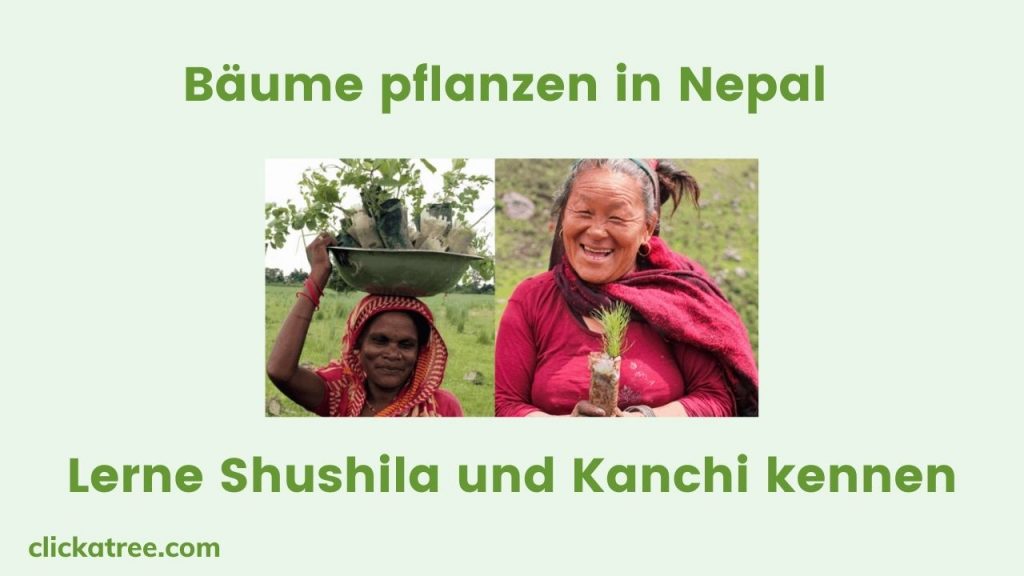 Bäume Pflanzen in Nepal Lerne Shushila und Kanchi kennen 1