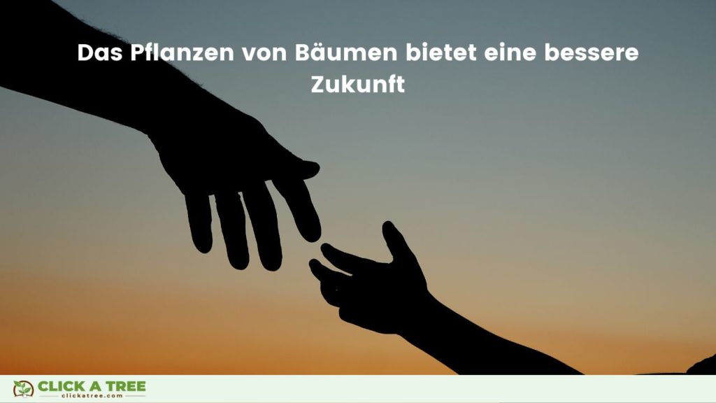 Holistische Aufforstung: Das Pflanzen von Bäumen mit Click A Tree bietet eine bessere Zukunft