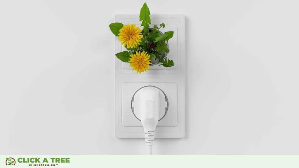 Click A Tree Sustainable Green Business Hacks