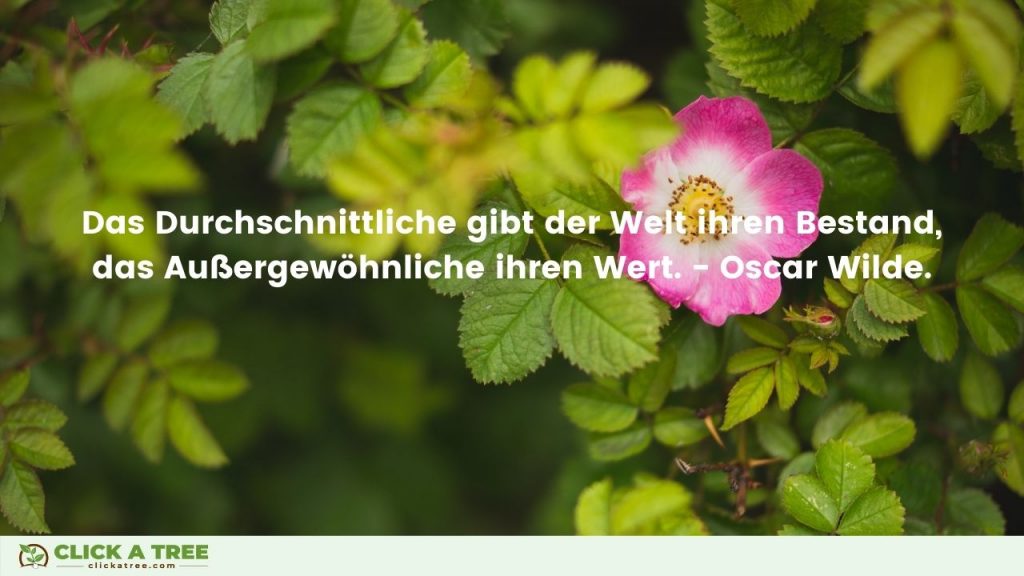 Das Durchschnittliche gibt der Welt ihren Bestand das Ausergewöhnliche ihren Wert. Oscare Wilde. Click A Tree
