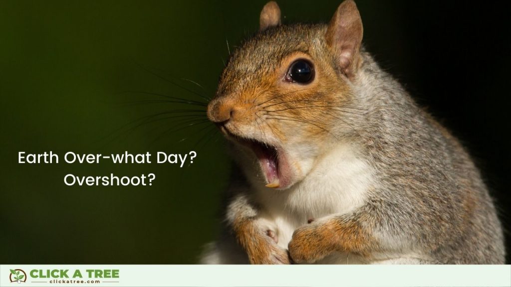Earth Overshoot Day 2022