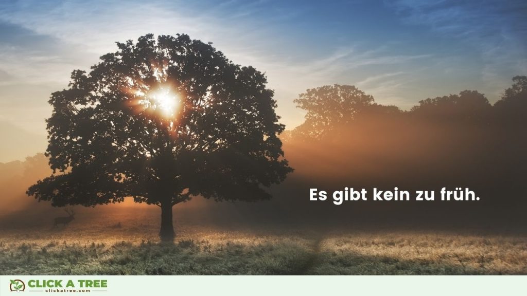 Es gibt kein zu früh.