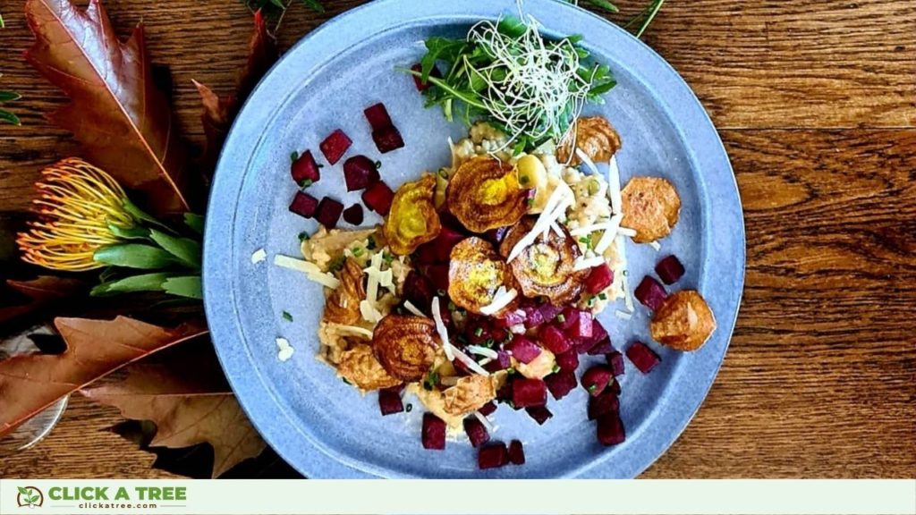 Das Food For Future von St.Ottilien in Freiburg
