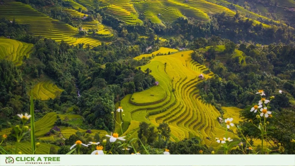 Hideaway4You ist ein Reiseunternehmen, das sich auf Reisen nach Asien spezialisiert