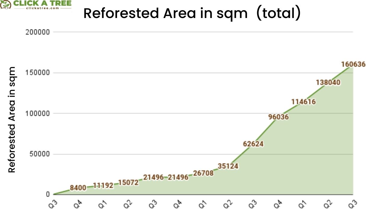 Click A Tree Project Success: Reforested Area