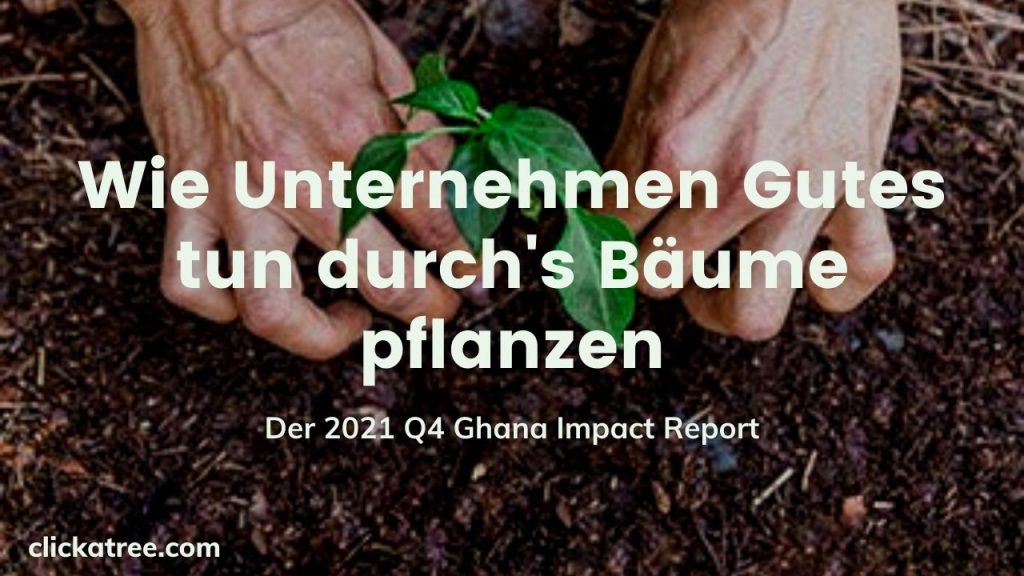 Wie Unternehmen Gutes tun mit diesem Aufforstungsprojekt von
Click A Tree
