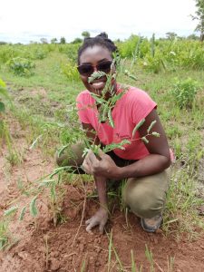 Aufforstungsprojekt in Ghana: Anita Kotochi schafft einen Mandala Garten