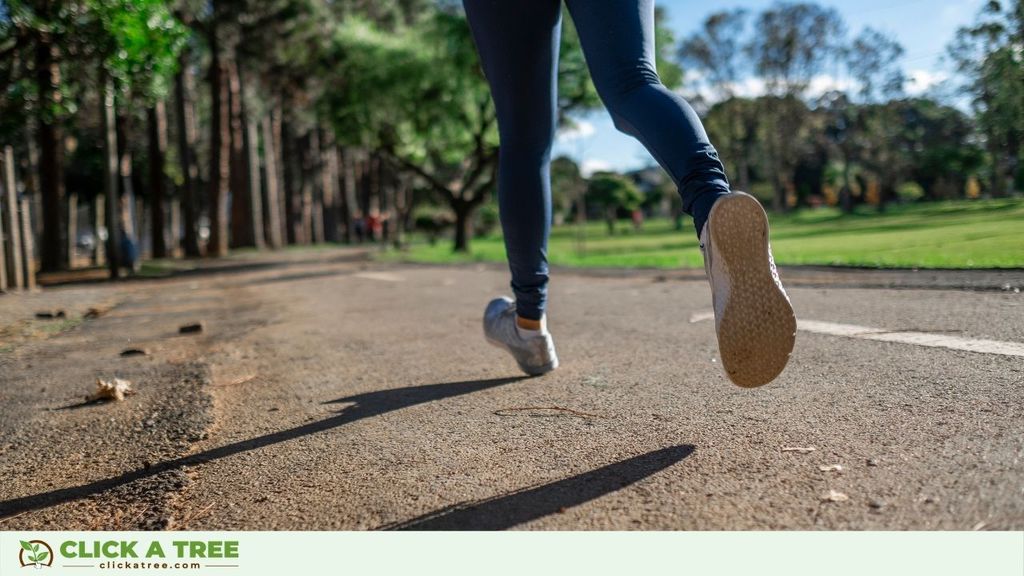 New Year's Resolutions 2021 Click A Tree: Plogging