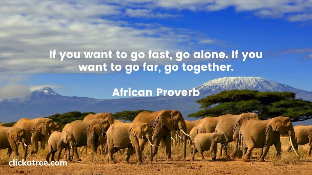 New Years Resolution African Proverb Click A Tree