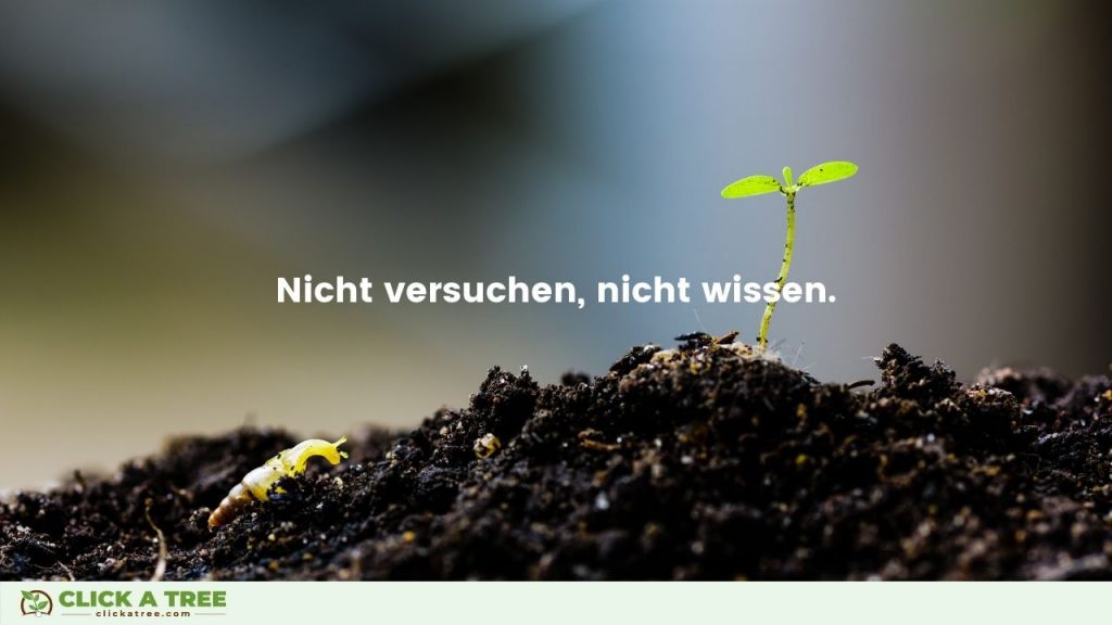 Nicht versuchen nicht wissen. Erfolg Zitate von Click A Tree Gründer Chris Kaiser