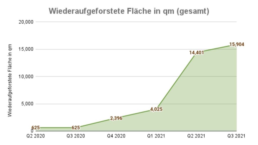 Die wiederaufgeforstete Fläche auf den Philippinen