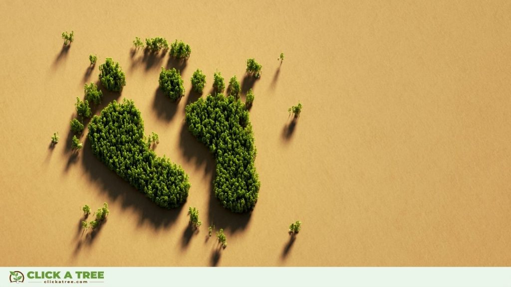 The Ways to Reduce Carbon Footprint