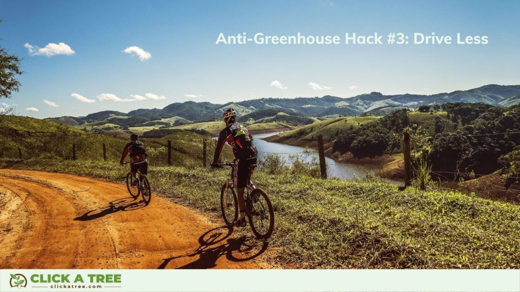 The Ways to Reduce Carbon Footprint by Click A Tree - Drive Less