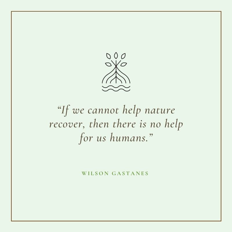 Tree Quotes Wilson Gastanes Mangrove Trees