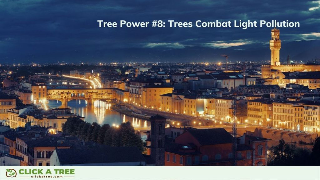 They Combat Light Pollution